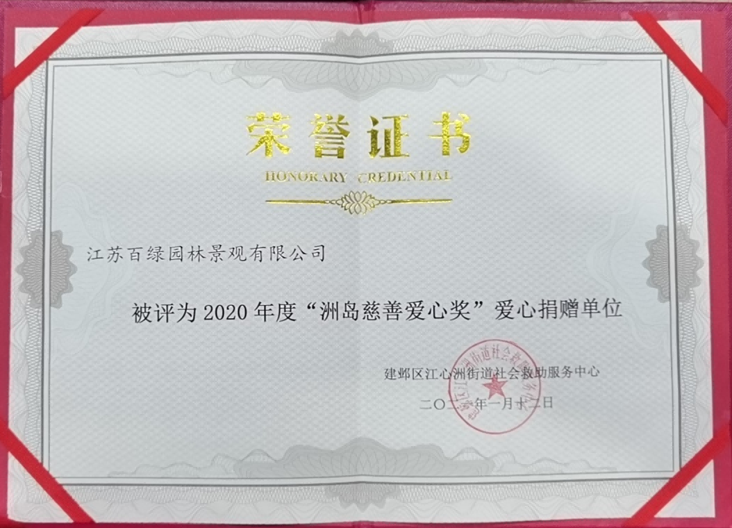 2021.01.12-2020年度洲岛慈祥爱心奖.png